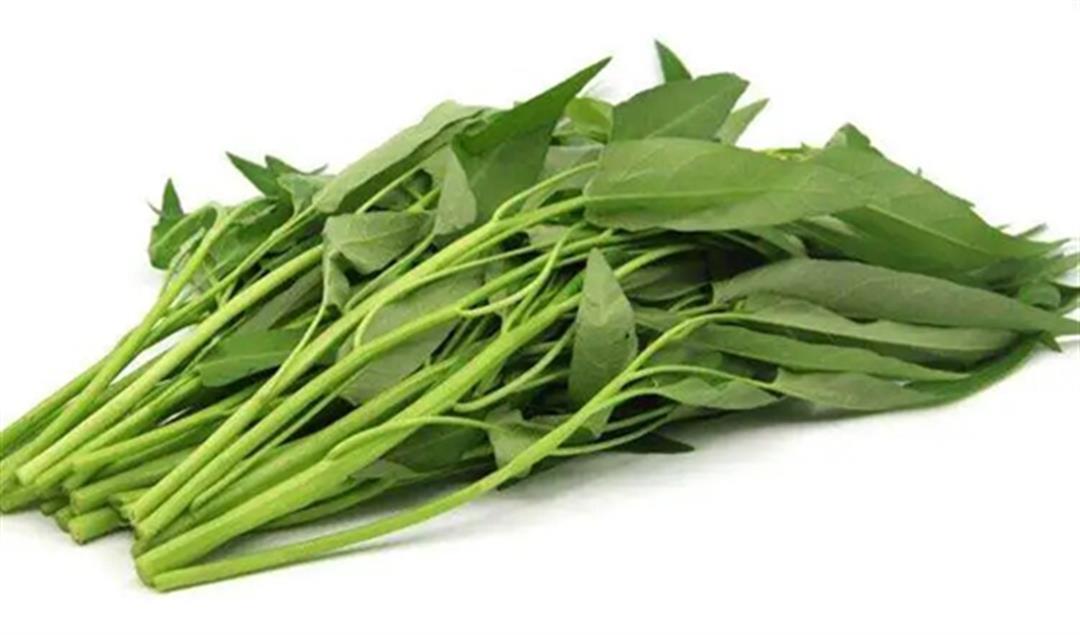 綠葉蔬菜