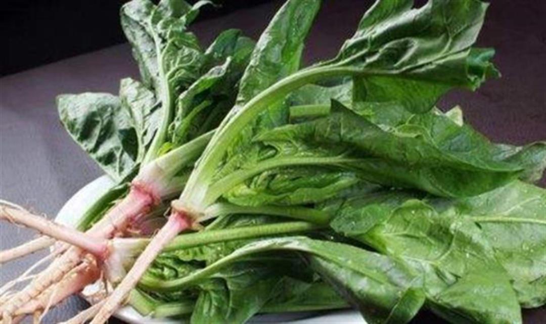 深色綠葉蔬菜