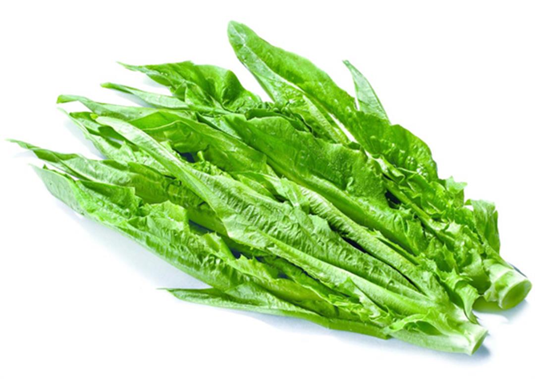 油麥菜
