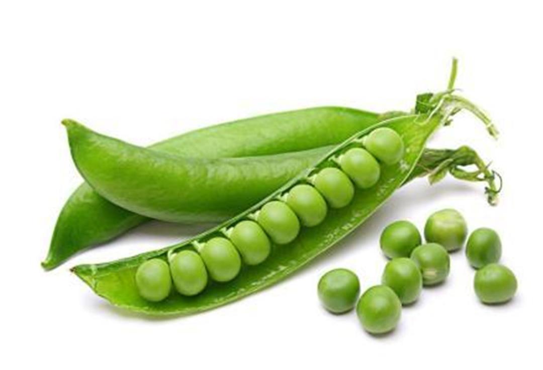 豌豆