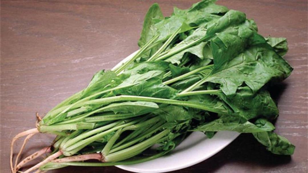菠菜